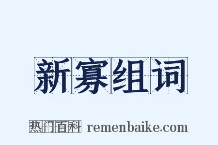 新寡组词是什么意思的图片